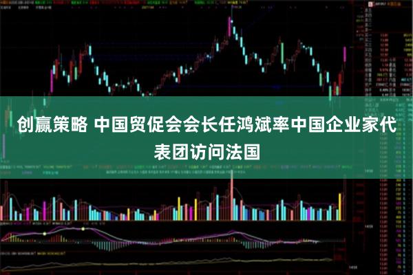 创赢策略 中国贸促会会长任鸿斌率中国企业家代表团访问法国