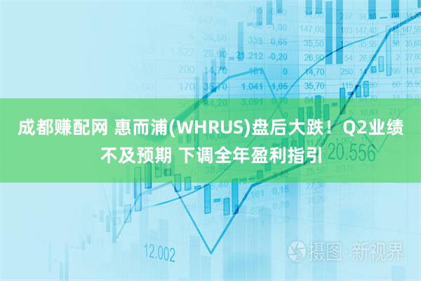 成都赚配网 惠而浦(WHRUS)盘后大跌！Q2业绩不及预期 下调全年盈利指引